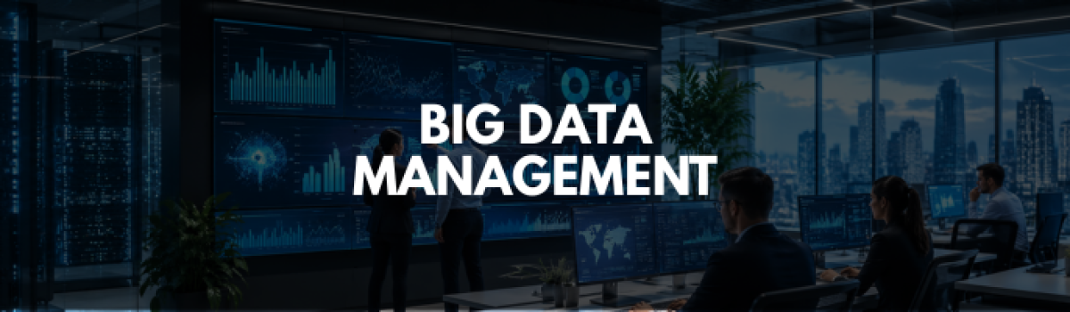 Big Data Management: Improving Business Efficiency and Performance