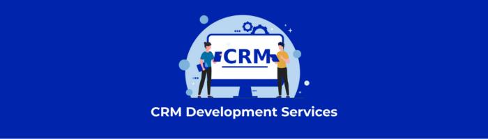 All-in-One Custom CRM Software Development Services for Every Industry